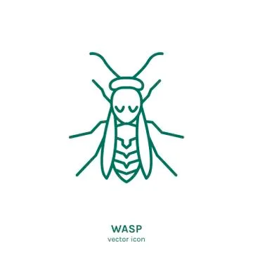 Vector Insect Icon イラスト素材