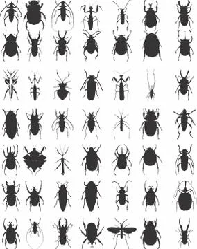 VECTOR INSECTS FOR DESIGN PROJECT Illustrazione stock