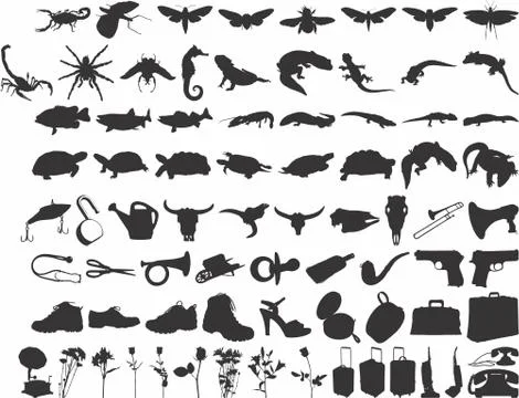 VECTOR INSECTS FOR DESIGN PROJECT Stock Illustration
