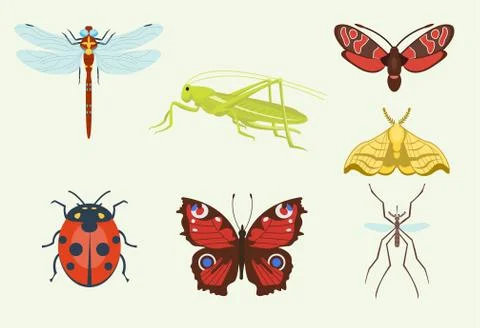 Vector insects icons isolated on background colorful top view illustration of Stock Illustration