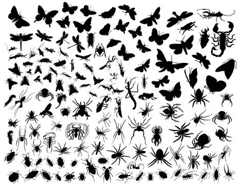 Vector insects 스톡 일러스트