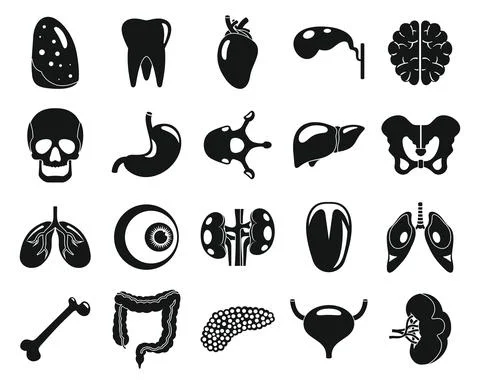 Vector internal organs black simple icons collection Stock-Illustration
