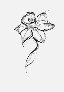 Vector Iris floral botanical flower sketch. Black and white engraved ink art. Illustrazione stock