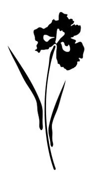 Vector iris flower Stock Illustration