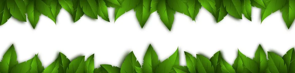 Vector isolated background with realistic green leaves. Stock Illustration