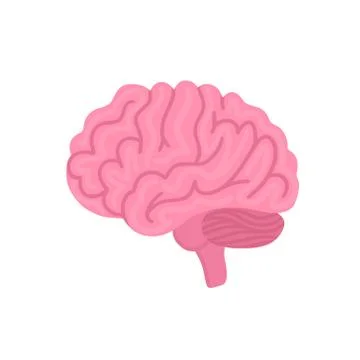 Vector isolated brain. Illustration for label of medicine, advertisement post Stock Illustration