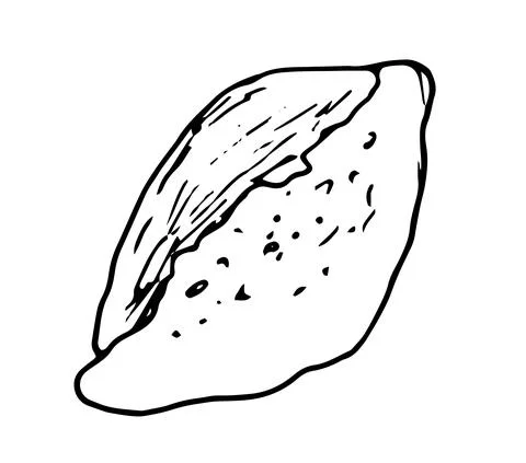 Vector isolated Bread element oval shape with sharp edges, top view and hand Stock Illustration