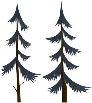 Vector isolated cartoon pine tree on white background. Coniferous forest plant Stock Illustration