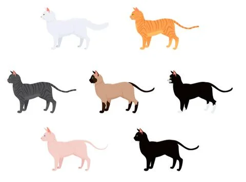 Vector isolated cat set different breeds on white Stock Illustration