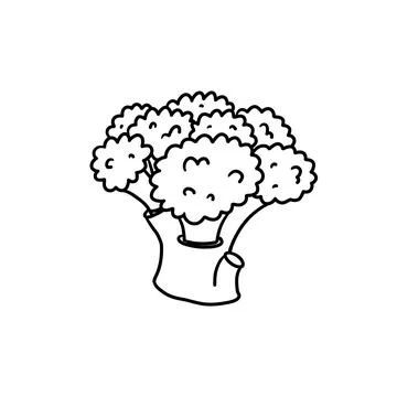 Vector isolated colorless black line broccoli Stock Illustration
