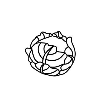 Vector isolated colorless black line cabbage Stock Illustration