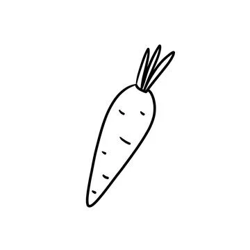 Vector isolated colorless black line carrot Stock Illustration