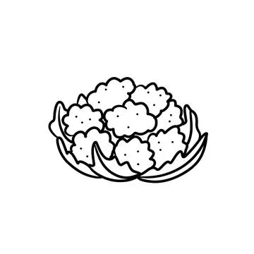 Vector isolated colorless black line cauliflower Stock Illustration