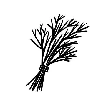 Vector isolated colorless black line dill Stock Illustration