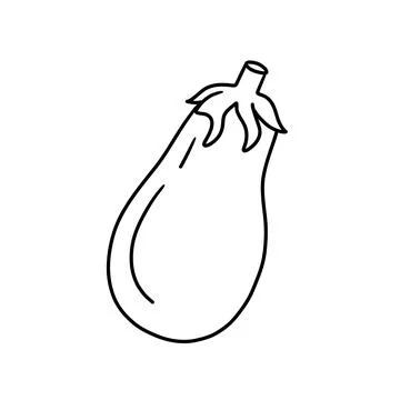 Vector isolated colorless black line eggplant Stock Illustration
