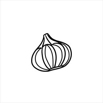 Vector isolated colorless black line garlic Stock Illustration