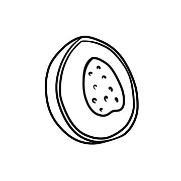 Vector isolated colorless black line papaya Stock Illustration