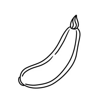 Vector isolated colorless black line squash Stock Illustration