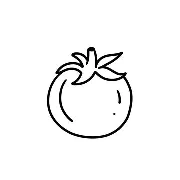 Vector isolated colorless black line tomato Stock Illustration
