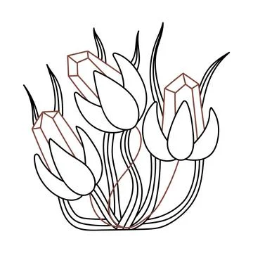 Vector isolated element. Flowers. Crystal. Mysticism. Black hand drawn doodle Stock Illustration