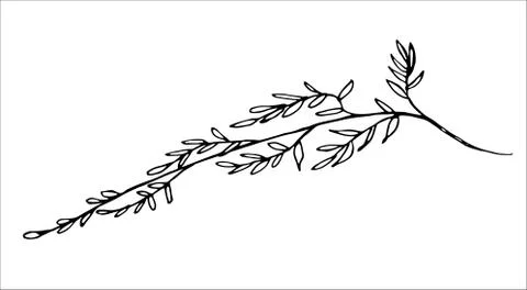 Vector isolated element. Illustration with flower, herbal Stock Illustration