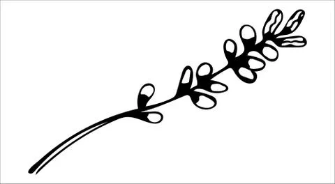 Vector isolated element. Illustration with flower, herbal Stock Illustration