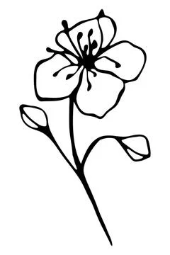 Vector isolated element. Illustration with flower, herbal Stock Illustration