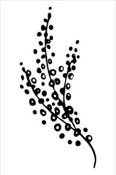 Vector isolated element. Illustration with flower, herbal Illustrazione stock