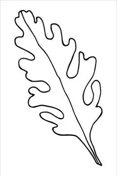 Vector isolated element. Illustration with flower, herbal Stock Illustration