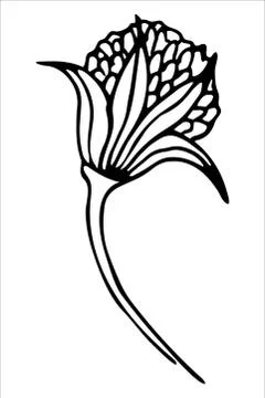 Vector isolated element. Illustration with flower, herbal Stock Illustration