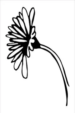 Vector isolated element. Illustration with flower, herbal Stock Illustration