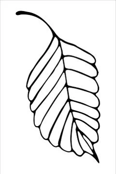 Vector isolated element. Illustration with flower, herbal Stock Illustration