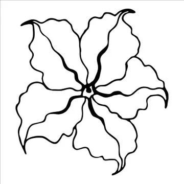 Vector isolated element. Illustration with flower, herbal Illustrazione stock