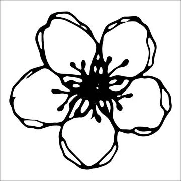 Vector isolated element. Illustration with flower, herbal Stock Illustration