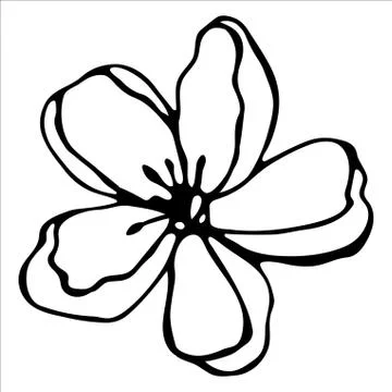 Vector isolated element. Illustration with flower, herbal Stock Illustration