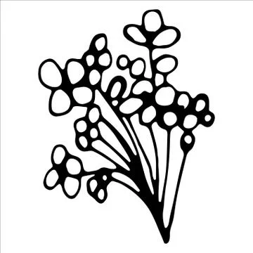 Vector isolated element. Illustration with flower, herbal Stock Illustration