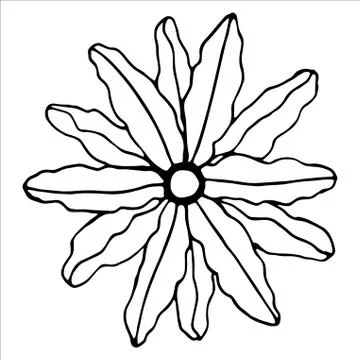 Vector isolated element. Illustration with flower, herbal Stock Illustration