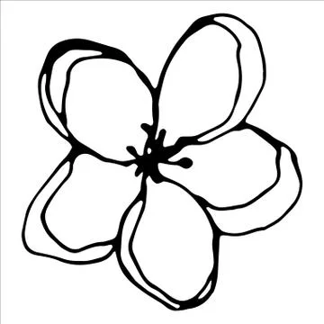 Vector isolated element. Illustration with flower, herbal Stock Illustration