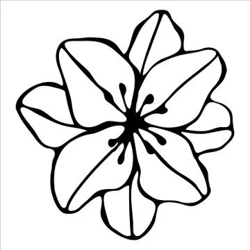 Vector isolated element. Illustration with flower, herbal Stock Illustration