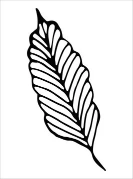 Vector isolated element. Illustration with flower, herbal Stock Illustration