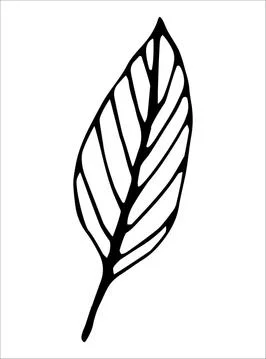 Vector isolated element. Illustration with flower, herbal Illustrazione stock