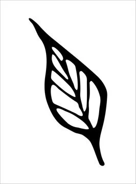 Vector isolated element. Illustration with flower, herbal Stock Illustration