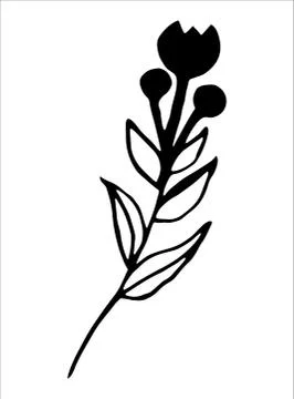 Vector isolated element. Illustration with flower, herbal Stock Illustration