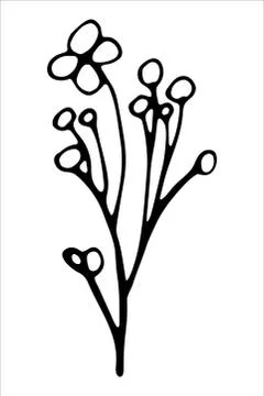 Vector isolated element. Illustration with flower, herbal Stock Illustration