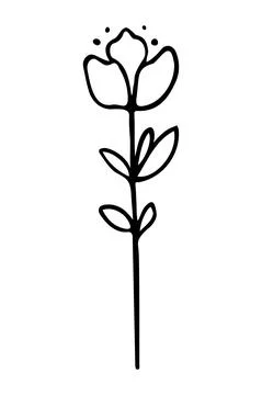 Vector isolated element. Illustration with flower. Minimalist hand drawn Stock Illustration