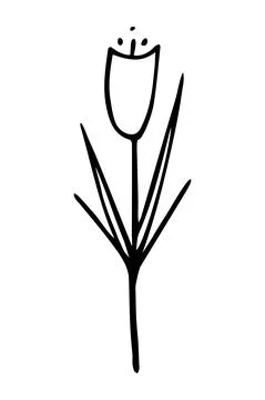 Vector isolated element. Illustration with flower. Minimalist hand drawn Stock Illustration