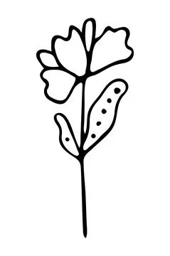 Vector isolated element. Illustration with flower. Minimalist hand drawn Stock Illustration