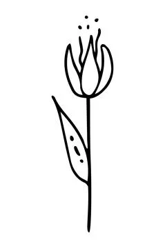 Vector isolated element. Illustration with flower. Minimalist hand drawn Stock Illustration