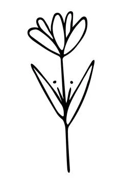 Vector isolated element. Illustration with flower. Minimalist hand drawn Stock Illustration