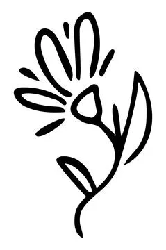 Vector isolated element. Illustration with flower. Minimalist hand drawn Stock Illustration